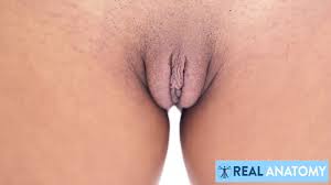 Real Female Anatomy Tutorial: Big Tits Big Tits Porn