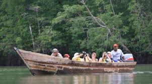 We did not find results for: Jungle Boat Tour In Darien National Park Bild Von Ecocircuitos Panama Day Tours Panama Stadt Tripadvisor
