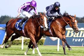 Scott lands first hat-trick of his racing career