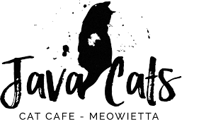 50 km van java cats cafe. Java Cats Cafe Marietta