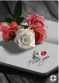 Romantic love beautiful flowers for her. Pin By Julia Niesen On Guzel Sozler Beautiful Roses Love Rose Beautiful Flowers