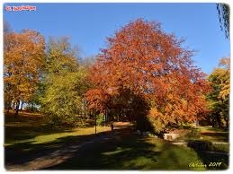 Sankthanshaugen (8) by donald duck. St Hanshaugen Uteservering 2019