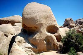 Crazy Little Thing Called Blog Joshua Tree Np Skull Rock Hike Joshua Tree National Park Joshua Tree National Parks