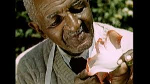 George washington carver, seen circa 1915, earned great fame as an inventor and director of the agriculture department of the tuskegee institute in alabama. George Washington Carver Biography Inventions Facts History