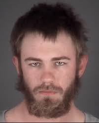 Domestic Battery and Assault are...