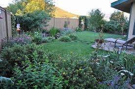 There are some good quality birdseed mixes around for an. Bird Paradise Feederwatch