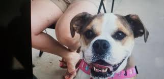 Large double sided sign finished and delivered