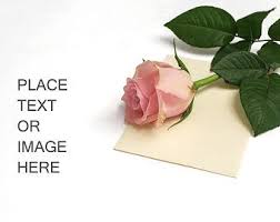 Styled Stock Photos Roses Mockup Valentines Mock Up Product Mockup Wedding Mockup Floral Invitation Design Mockup Free Styled Stock Photos Ipad Mockup Psd
