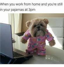 A work anniversary is a time to celebrate! Covid 19 Work From Home Memes That Will Crack You Up