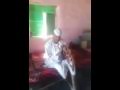 ود البله ( من الريده داير اتوب) upload, share, download and embed your videos. Mp4 ØªØ­Ù…ÙŠÙ„ Ø§Ù„ÙÙ†Ø§Ù† ÙˆØ¯ Ø§Ù„Ø¨Ù„Ù‡ Ø±Ø¤ÙŠØ© Ø¹ÙŠÙˆÙ†Ùƒ Ø£ØºÙ†ÙŠØ© ØªØ­Ù…ÙŠÙ„ Ù…ÙˆØ³ÙŠÙ‚Ù‰