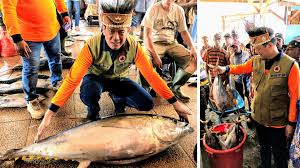 We did not find results for: Cerita Doni Tentang Tuna Matoa Dan Mimpi Anak Papua Jadi Presiden Jayakarta News