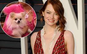 Check spelling or type a new query. 5 Things To Know About Emma Stone
