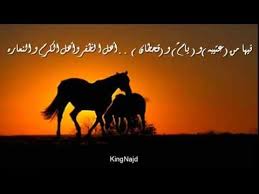 شيله ناصر العتيبي مدح عتيبه يام قحطان Horses Places To Visit Animals