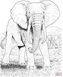 We did not find results for: Realistic Elephant Coloring Pages And Other Themed Coloring Challenges