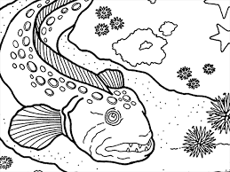 The most common sunfish is the ocean sunfish. Slim Slots Coloring Pages Of Sea Creatures
