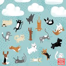 406 x 494 jpeg 156 кб. Raining Cats Dogs On Behance