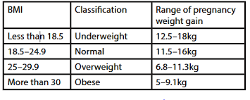 What Is Body Mass Index Bmi Definition And Uses Home