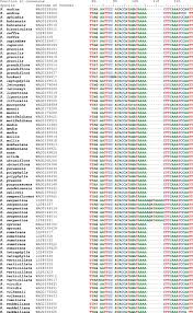 Image result for Rauvolfia mombasiana