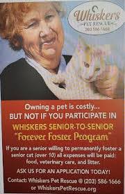 Dennis Quill's Instagram, Twitter & Facebook