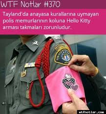 Wtf Notlar Gizli Bilgi Bilgi Karti Eglenceli Gercekler