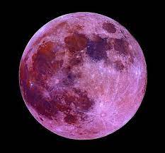 Premium Astrology Daily Astrological Forecast For April 4 2014 Big Moon Pink Moon Strawberry Moons
