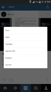 Paste the link to the input line on the instagram image downloader page and click download. How To Download Photos From Instagram App Naldotech