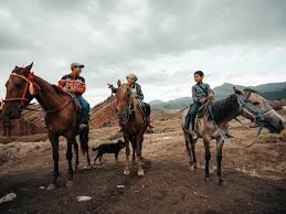 Nachdem wir durch einen letzten kleinen wald fahren, betreten wir mit unseren rädern die weiten, grünen steppen kasachstans… route erster teil. Rundreise Kasachstan Kirgistan 14 Tage Reisetipps Highlights