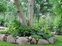 Nach einigem zögern nimmt nell dieses angebot an und das schicksal nimmt. Unser Kleiner Garten Den Wir Vor 3 Jahren Aus Einer Brennessel Holunderbusch Und Ulmenwuste Uns Im Schweisse Unseres Gartengestaltung Garten Geheimer Garten