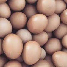 Check spelling or type a new query. Telur Ayam Petelur Coklat Khusus Gojek Sidoarjo Harga 1 Kg Shopee Indonesia