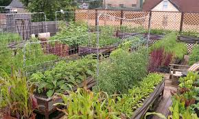 Jadikan rumahmu lebih mengagumkan dengan desain atap rumah yang menarik. Cara Membuat Rumah Minimalis Yang Sempit Berlimpah Ikan Sayuran Buah Kelinci Dan Ayam 2017 Afrid Fransisco
