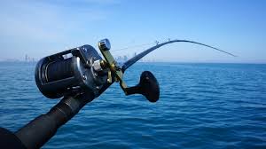 Take a sneak peak at the movies coming out this week (8/12) sustainable celebs we stan: 58 Bass Fishing Wallpaper Hd