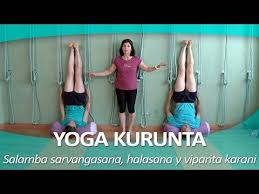 Yoga Kurunta 9 Salamba Sarvangasana Halasana Y Viparita Karani Youtube Videos Yoga Yoga Iyengar Yoga