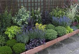Entretien De Jardin Facile Conseils Pour Les Jardiniers Amateurs Garden Border Plants Shrubs For Landscaping Evergreen Plants