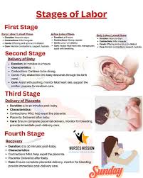 Image result for First Stage of Labor