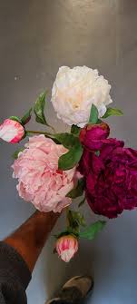 Est 1947 bfs is your one stop shop for flowers and supplies at wholesale prices we deliver to all of south florida ⓝⓞ ⓜⓘⓝⓘⓜⓤⓜⓢ dm us 3056384141 linktr.ee/bfsmiami. 1947 Berkeley Florist Supply Wholesale Products Buy With Free Returns On Faire Com