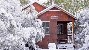 Maybe you would like to learn more about one of these? Seven Extremely Cosy Cabins Around Australia That You Can Escape To This Winter Concrete Playground