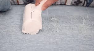 Dog grooming, dog daycare, dog boarding, pet retail, dog play area, dog bakery Fur Away Pet Hair Roller Fur Away Roller