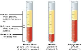 18 1 An Overview Of Blood Anatomy And Physiology