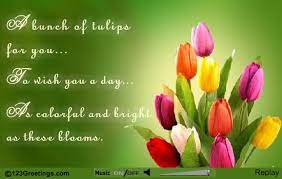 A Bunch Of Tulips On Tulip Day Tulips Day Good Day Quotes
