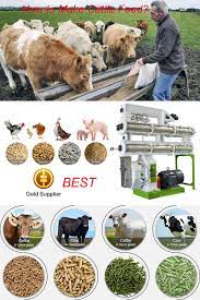 Best Cattle Feed Pellet Production Process And Machinery In 2021 Cattle Feed Cattle Cattle Rearing