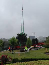 How much space will the tree require in the future as it grows, if it is retained as existing, in the long term? Helicopter Tree Transplant Helicopter Lifting Services