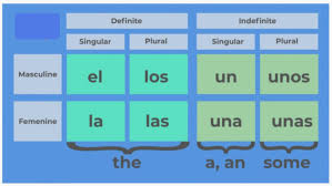 Spanish Masculine Vs. Feminine By Barnum Bilingual | Tpt