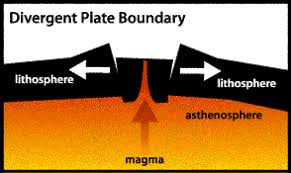 The brown areas in the gizmo. Plate Tectonics Gizmo Flashcards Quizlet