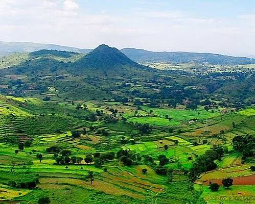 THE 5 BEST Araku Valley Tours & Excursions (2026) - with Reviews
