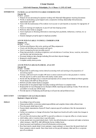 Payroll Accounts Payable Resume Samples Velvet Jobs