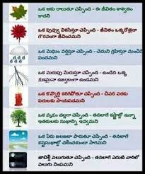 Quotes Bible Quotes Telugu Lesson Quotes Inspirational Quotes Pictures