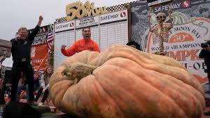 Image result for giant pumpkin
