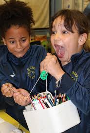 Primary Science Quality Mark