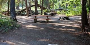 Lake wenatchee state park is one of our favorite parks and always will be. Campsite Nason Creek Campground Near Lake Wenatchee Lake Wenatchee Campground Adventure Planning