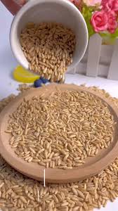 High Quality Naked Oats Grain Pollution Free Restaurant Large Flake 57888 |  Hot Sex Picture